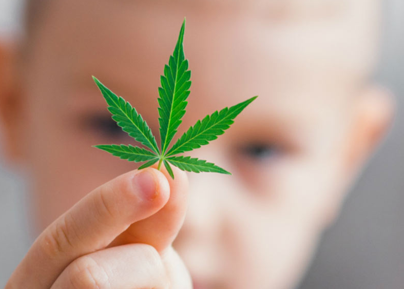 Historia del cannabis como planta medicinal