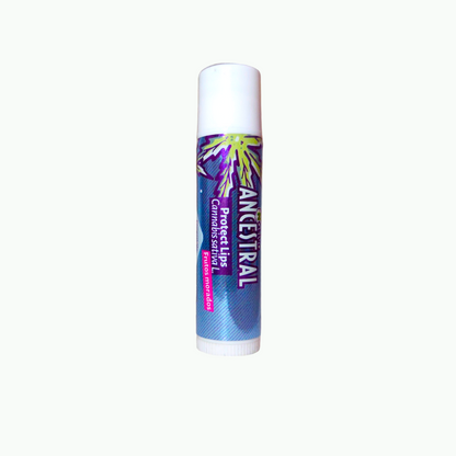 PROTECTOR LABIAL