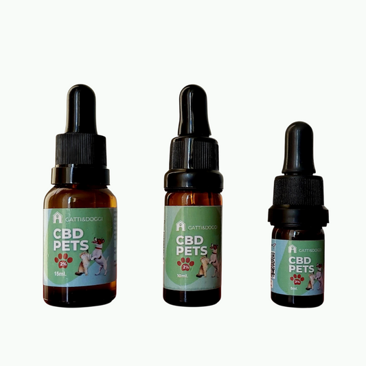 ACEITE VETERINARIO CBD