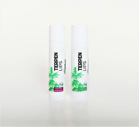 PROTECTOR LABIAL TERPEN LIPS