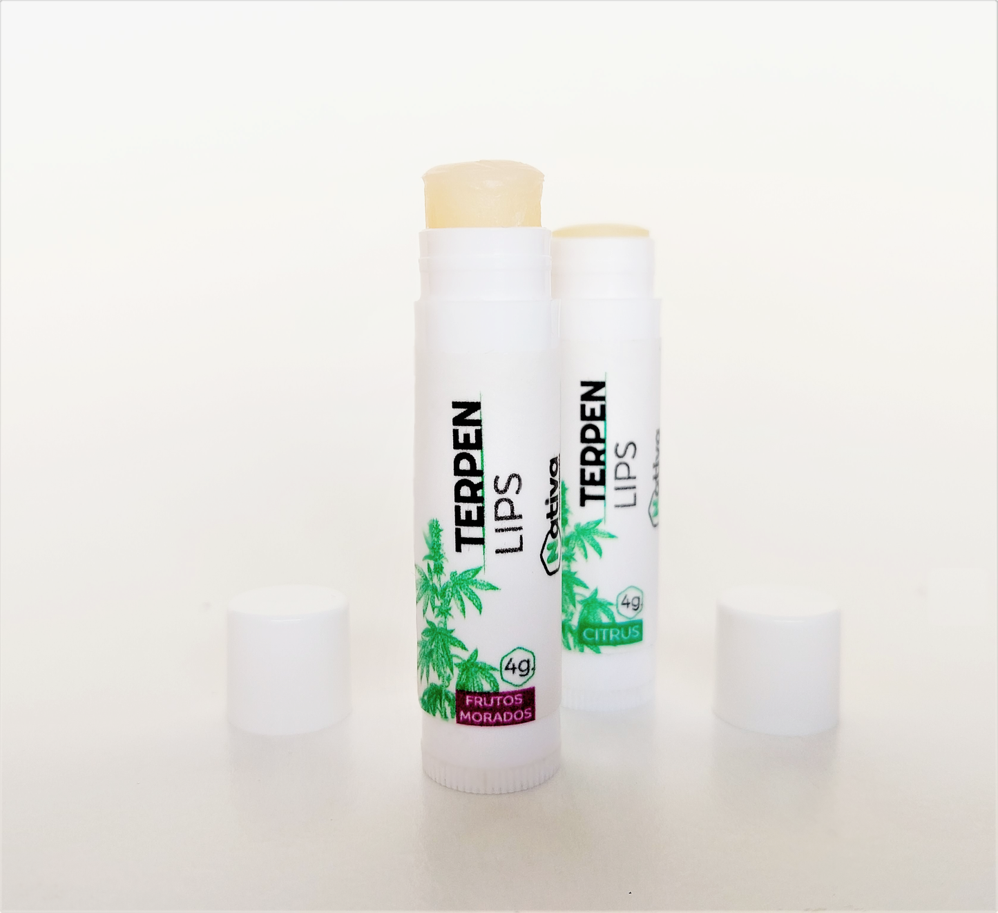 PROTECTOR LABIAL TERPEN LIPS
