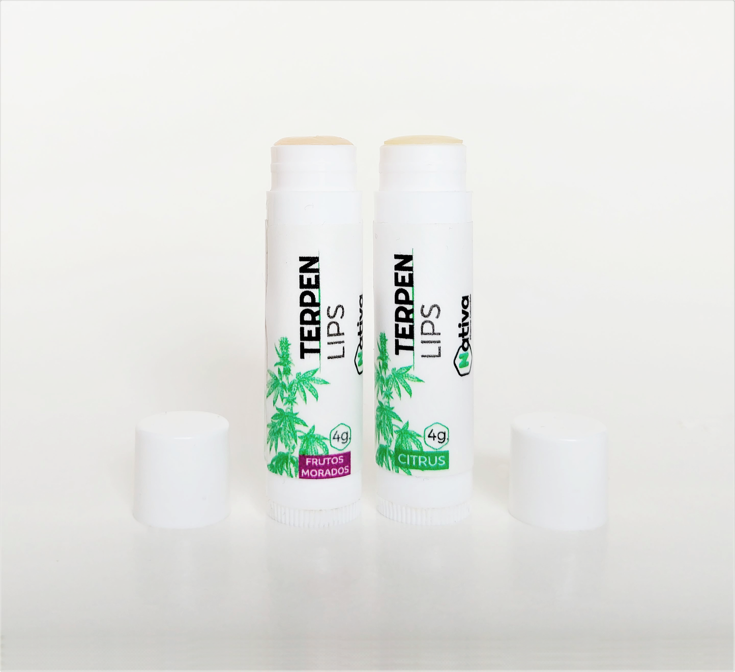 PROTECTOR LABIAL TERPEN LIPS